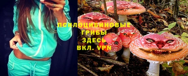 СК Киренск