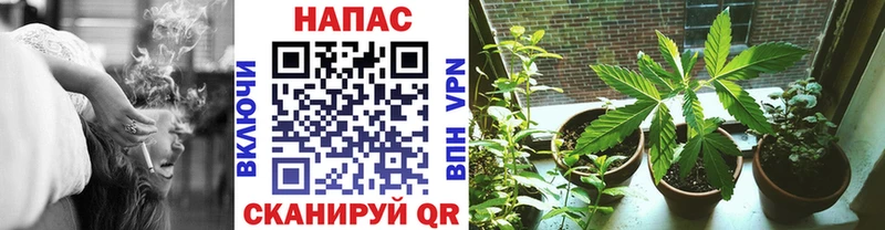 кракен ССЫЛКА маркетплейс как зайти Голицыно Марихуана марихуана как найти закладки